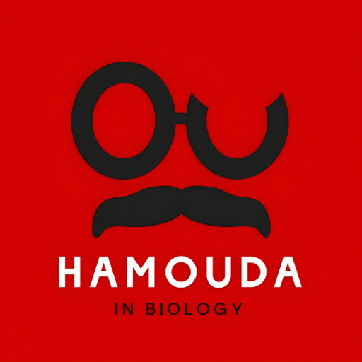 Hamouda